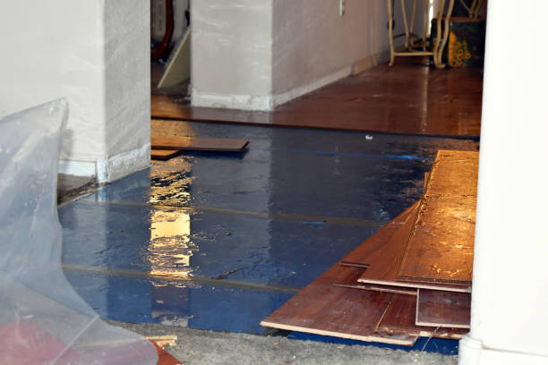 Professional Water Extraction technician working in New London, TX